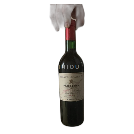 Jugozahod Ni doloceno Domaine Cazalet 1996