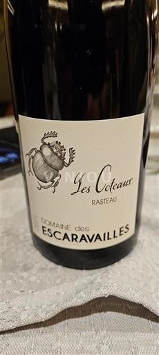 Rhône-dalen Rasteau Domaine Des Escaravailles Les Coteaux 2021