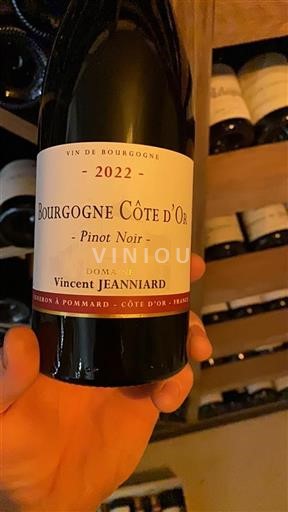 Borgogna Borgogna Côte d'Or Vincent Jeanniard Pinot Noir 2022