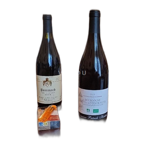 Vin Rouge sec Domaine Patrick Hudelot 2023 France Bourgogne AOC Grand Cru