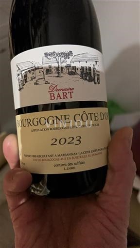 Borgogna Borgogna Côte d'Or Domaine Bart 2023