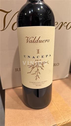 Castilien og León Ribera del Duero Valduero Una Cepa 2019