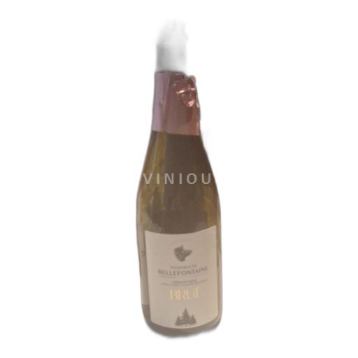 Valonsko Crémant de Wallonie Vignoble De Bellefontaine 2023