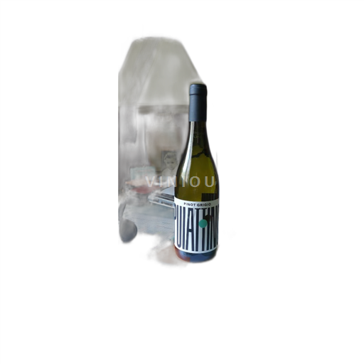 Friuli Venezia Giulia Venezia Giulia Puiatti Vigneti 2024
