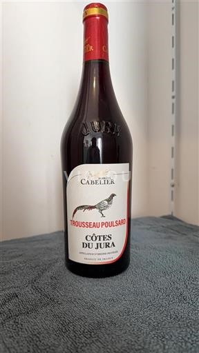 Jura Côtes du Jura Marcel Cabelier Trousseau Poulsard 2022