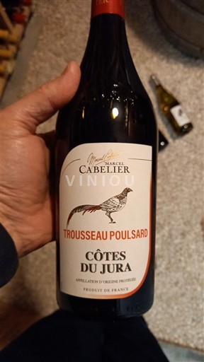 Jura Côtes du Jura Marcel Cabelier Trousseau Poulsard 2022
