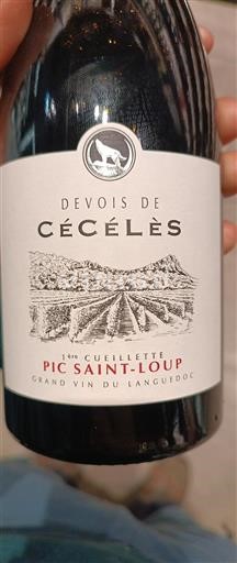Vin Rouge sec 1ère Cueillette Devois de Cécélès 2023 France Languedoc Pic-saint-loup AOC