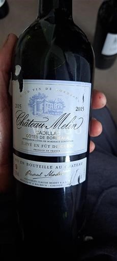 Bordeaux Côtes-de-Bordeaux Château Molin 2015