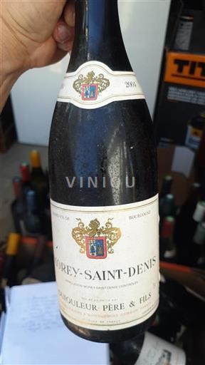 Burgundija Morey-Saint-Denis Dufouleur Père & Fils 2004