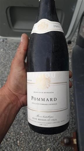 Burgundija Pommard René Brison Et Fils Prestige 2005