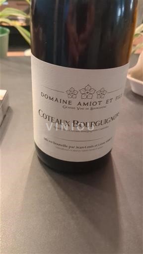 Burgundy Coteaux Bourguignons Domaine Amiot Et Fils Non-Vintage