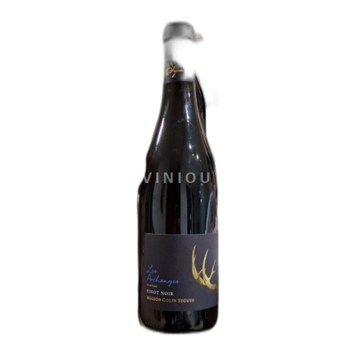 Beaujolais Maison Colin Seguin Les archanges 2023