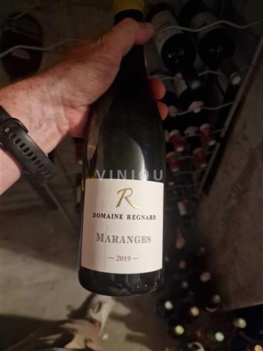 Bourgondië Maranges Grand Cru Regnard 2019