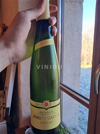 Alzacija Joseph Cattin 2020