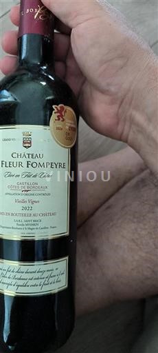 Bordeaux Castillon-côtes-de-bordeaux Château La Fleur Fompeyre Vieilles Vignes 2022