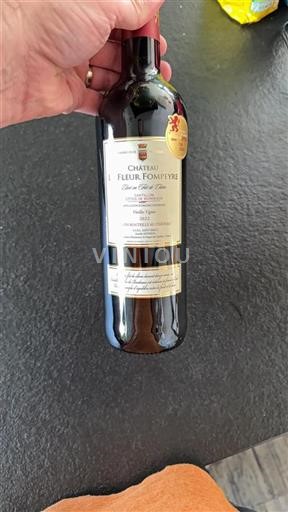 Bordeaux Castillon Côtes de Bordeaux Château Fleur Fompeyre Vieilles Vignes 2022