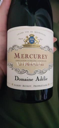 Burgundija Mercurey Grand Cru Domaine Adélie Les Montelons 2020