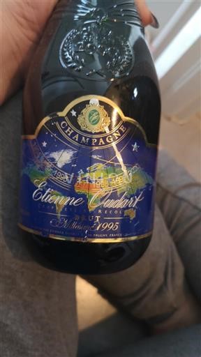Champaña Champán Etienne Oudart Millésime 1995