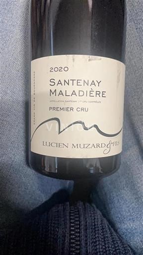Borgoña Santenay Premier Cru Lucien Muzard & Fils La Maladi%c3%a8re 2020