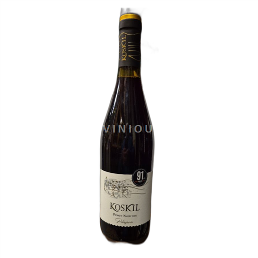 Patagonia Non specificato Koskil Pinot Noir 2022