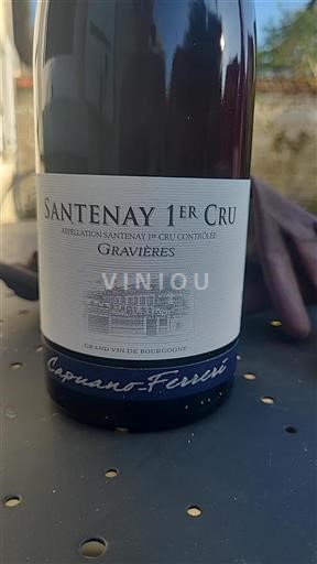 Burgundija Santenay Premier Cru Capuanoferreri Gravières 2021