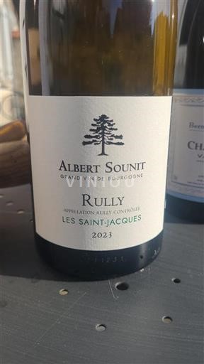 Bourgogne Rully Albert Sounit Les Saint-Jacques 2023