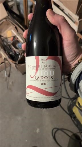 Borgogna Ladoix Domaine Bougaud 2023