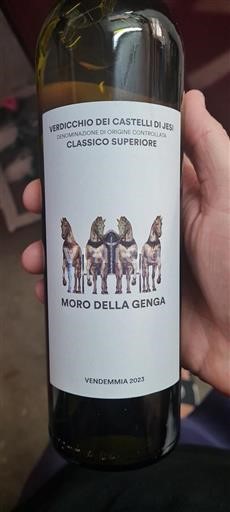 Marche Verdicchio dei Castelli di Jesi Moro Della Genga 2023