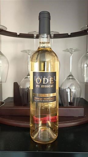 Roussillon Muscat de Rivesaltes Ode Au Muscat Não Sazonado