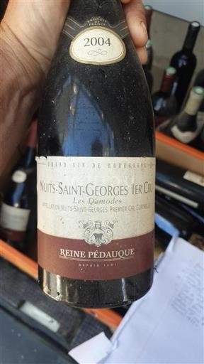 Borgoña Nuits-Saint-Georges Premier Cru Reine Pédauque Les Damodes 2004