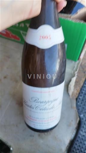 Borgonha Hautes Côtes de Nuits Guy Et Yvan Dufouleur 2005