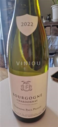 Bourgogne Domaine Paul Pillot 2022