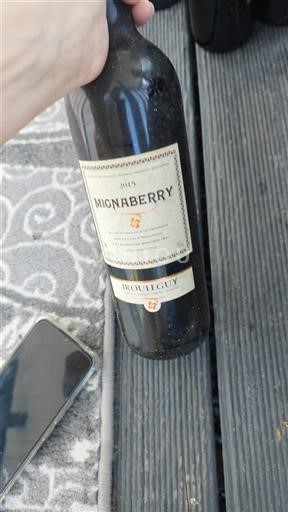 Sudoeste Irouléguy Cave Irouleguy Mignaberry 2015