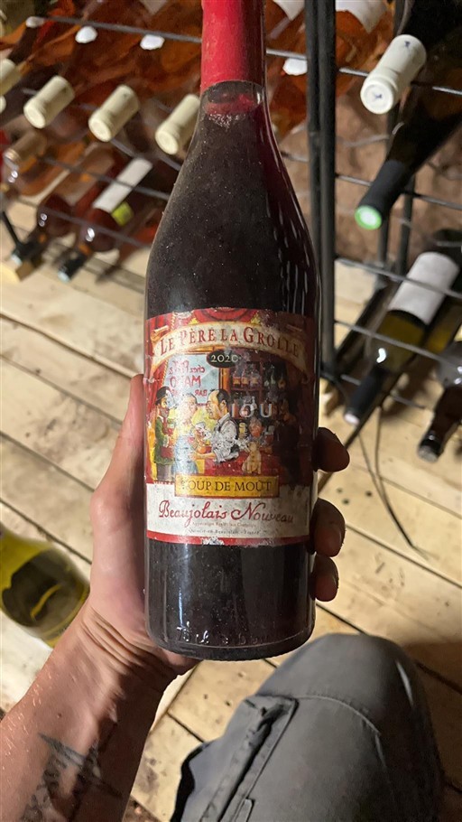 Beaujolais Beaujolais Nouveau Le Père La Grolle Coup de Moût 2020