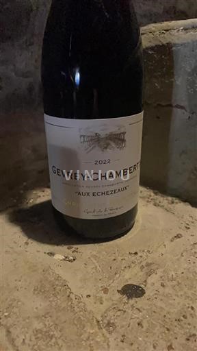 Burgundy Gevrey-Chambertin Aux Echezeaux 2022