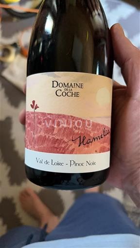 Alsasko Rulandské modré Domaine La Coche Hamelia 2023