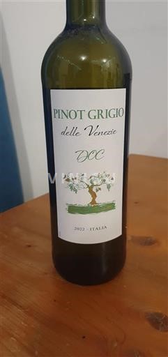 Veneto Delle Venezie Giulia Pasotti 2022
