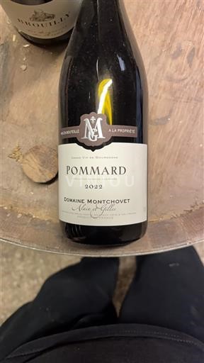 Bourgogne Pommard Domaine Montchovet 2022