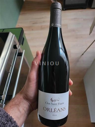 Vin Rouge sec Clos Saint Fiacre 2022 France Vallée de la Loire Orléans AOC