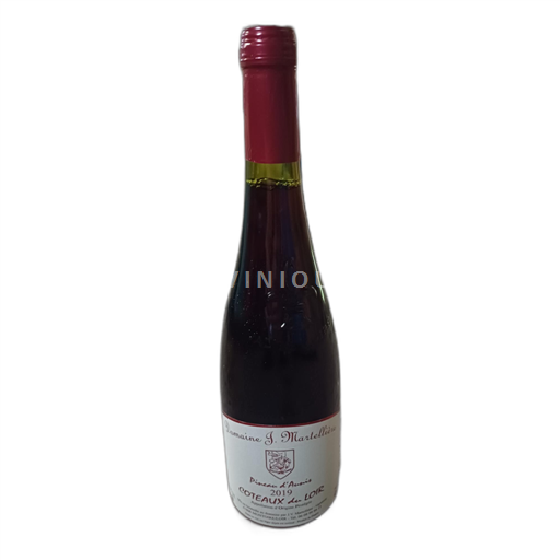 Valle della Loira Coteaux-du-loir Domaine J. Martelliere Pineau d'Aunis 2019