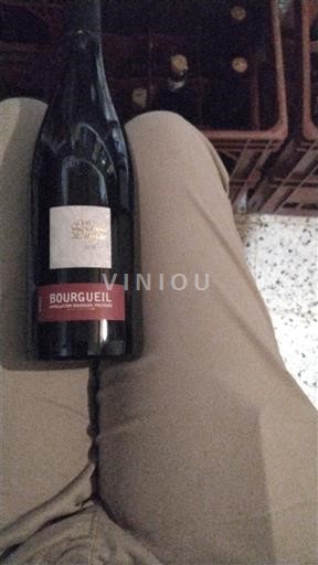 Lugina e Luarës Bourgueil Marie Dupin 2018