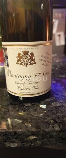 Borgonha Não especificado Premier Cru Pigneret Fils Champ Toizeau 2022