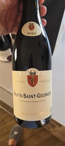 Burgundy Nuits-Saint-Georges Domaine Nudant 2022
