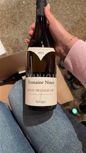 Bourgogne Rully Premier Cru Domaine Ninot Grésigny 2023