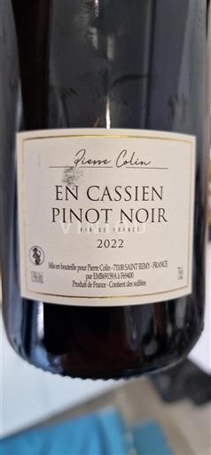 Vin Rouge sec En Cassien Pierre Colin 2022 France Bourgogne AOC