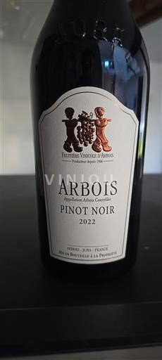 Vin Rouge sec Pinot Noir Fruitière Vinicole Arbois 2022 France Jura Arbois AOC