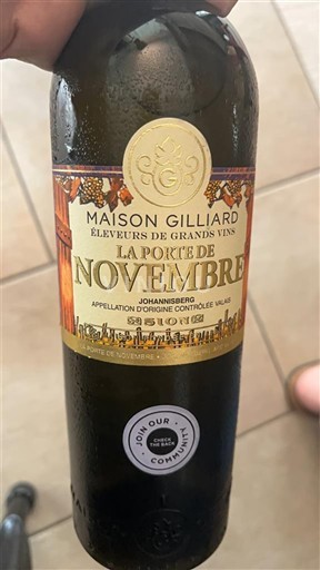 Valais Nespecifikováno Maison Gilliard La Porte de Novembre Neročník