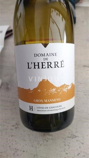 Sud-Ovest Côtes de Gascogne Domaine L'herré Gros Manseng 2023