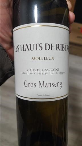 Sudoeste Côtes de Gascogne Les Hauts De Ribère Gros Manseng Sin añada