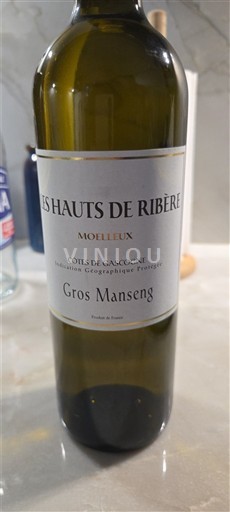 Sudoeste Côtes de Gascogne Les Hauts De Ribère Gros Manseng Sin añada